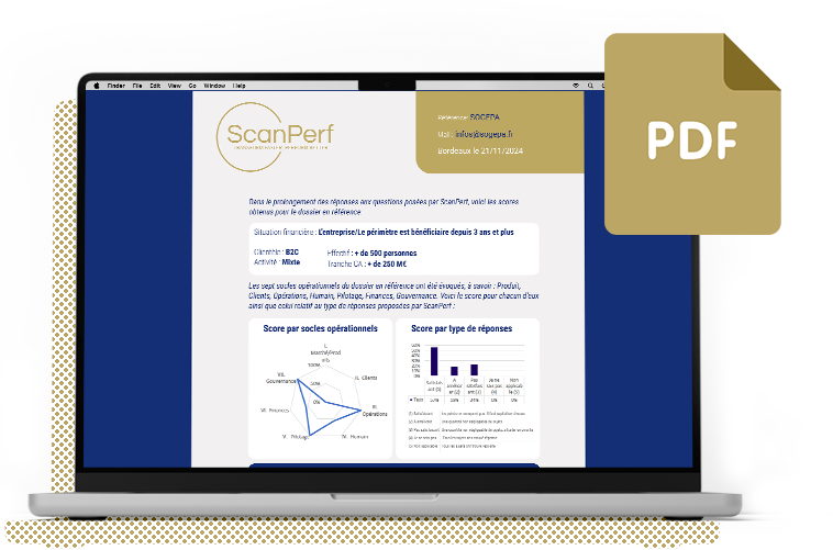ScanPerf offre un rapport one page global